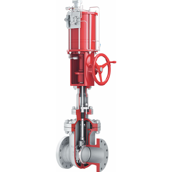 Parallel double gate valve