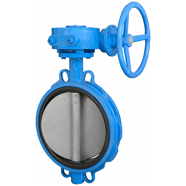 Center line butterfly valve