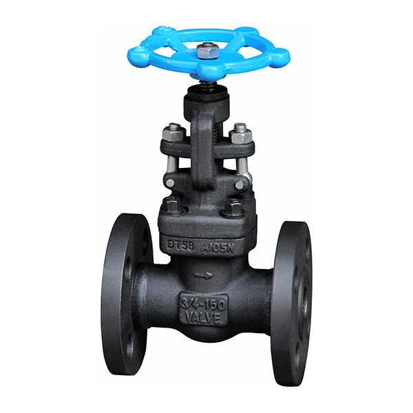 Internal thread and socket welded stop valve