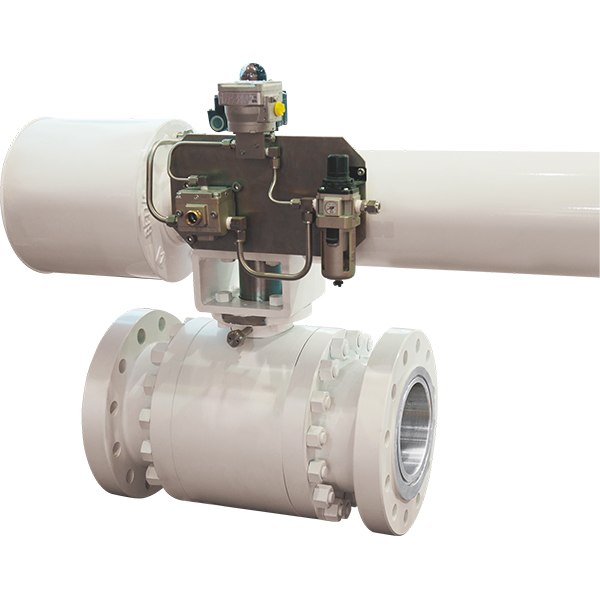 Fixed ball valve