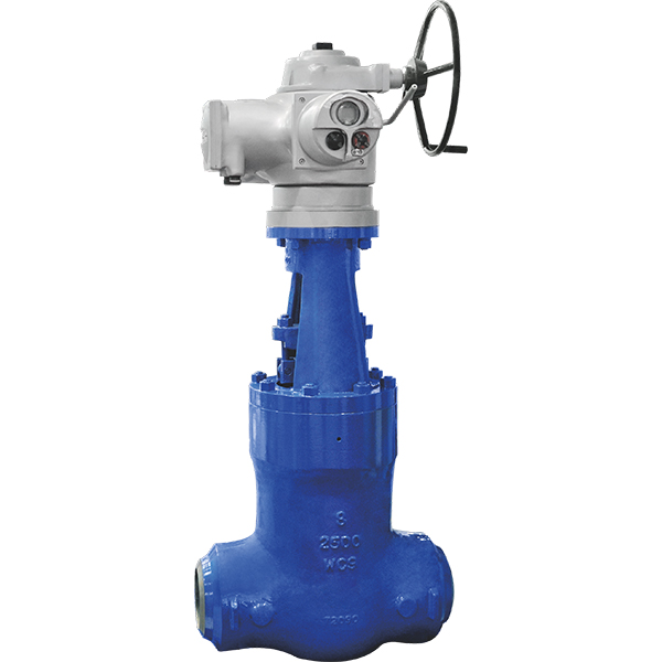 Cast steel pressure seal gate valve